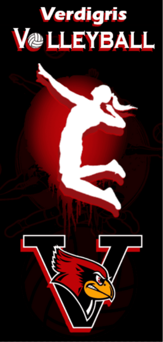 volleyball door wrap